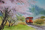 A Railway with sakura blossoms in Japan 日本賞櫻鐵道_painted by Lai Ying-Tse